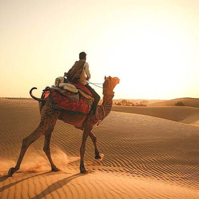 sunset camel safari in jaisalmer desert